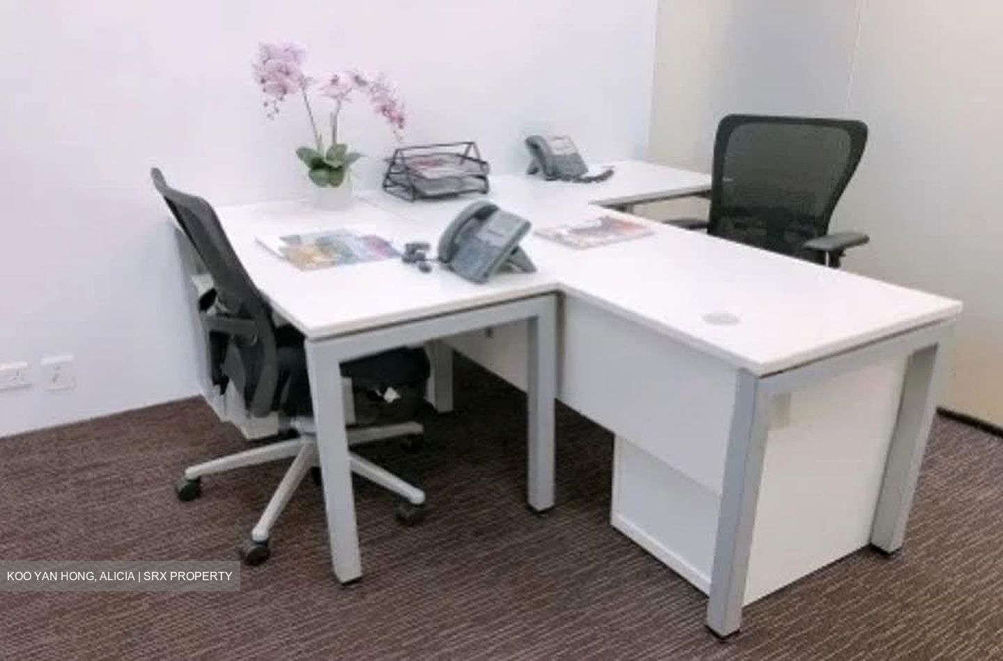 Shaw House (D9), Office #599081091